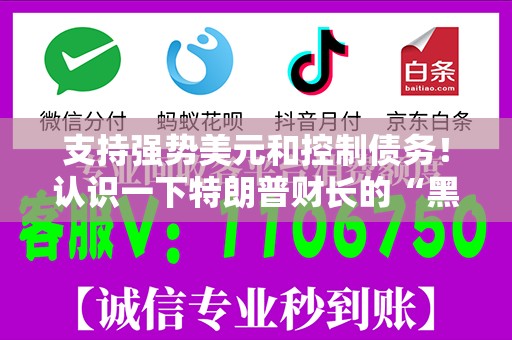 支持强势美元和控制债务！认识一下特朗普财长的“黑马候选人”凯文·沃什