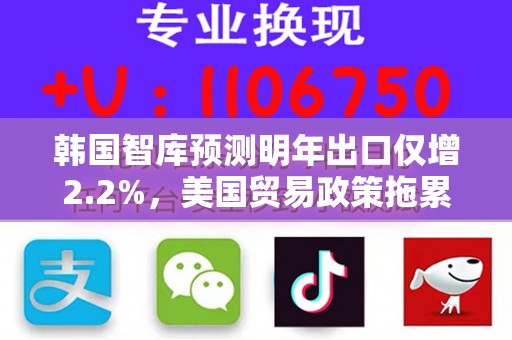 韩国智库预测明年出口仅增2.2%，美国贸易政策拖累增长