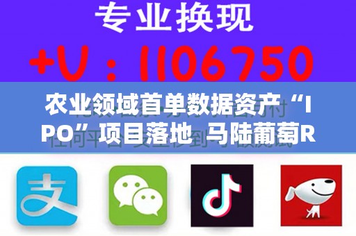 农业领域首单数据资产“IPO”项目落地  马陆葡萄RWA获千万元股权融资