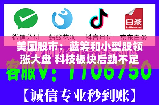 美国股市：蓝筹和小型股领涨大盘 科技板块后劲不足