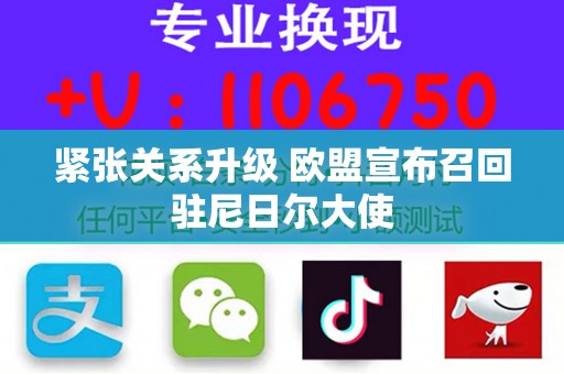 紧张关系升级 欧盟宣布召回驻尼日尔大使