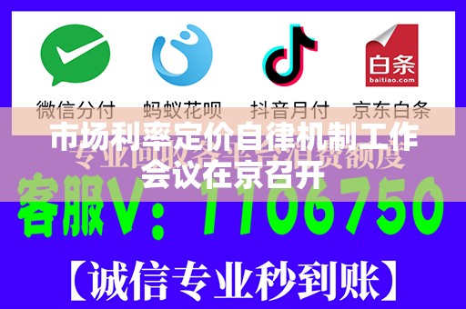 市场利率定价自律机制工作会议在京召开