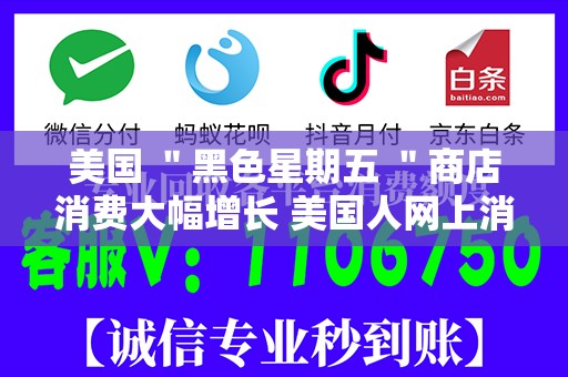 美国 ＂黑色星期五 ＂商店消费大幅增长 美国人网上消费增加