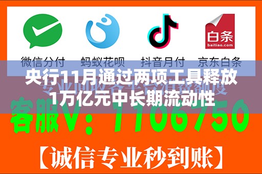 央行11月通过两项工具释放1万亿元中长期流动性