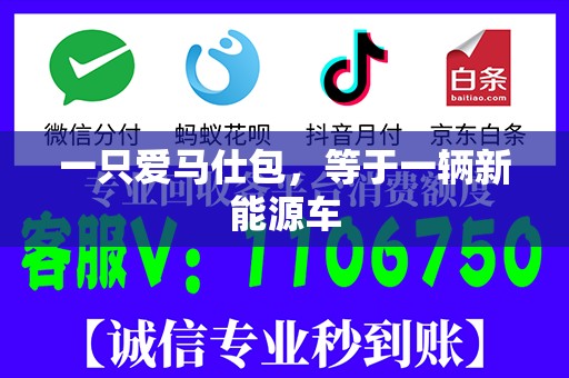 一只爱马仕包，等于一辆新能源车