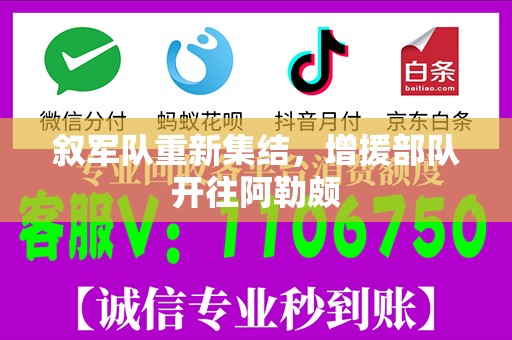 叙军队重新集结，增援部队开往阿勒颇