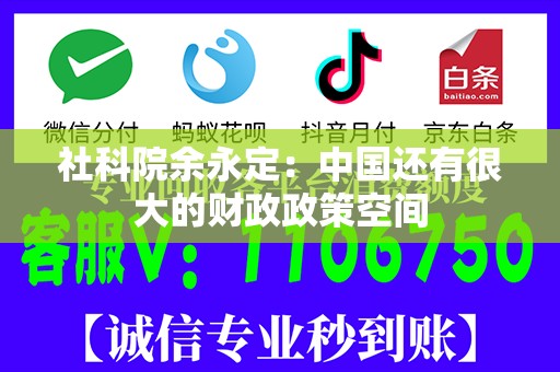 社科院余永定：中国还有很大的财政政策空间