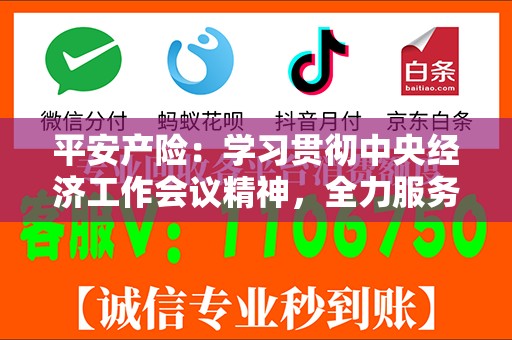 平安产险：学习贯彻中央经济工作会议精神，全力服务经济社会高质量发展