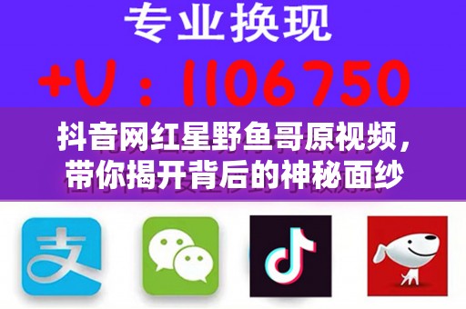 抖音网红星野鱼哥原视频，带你揭开背后的神秘面纱