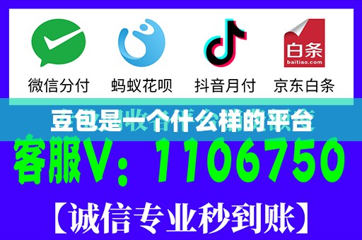 豆包是一个什么样的平台