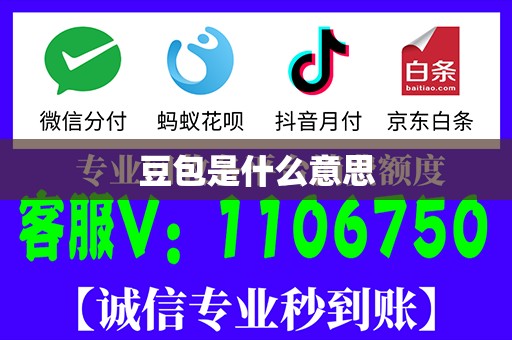 豆包是什么意思
