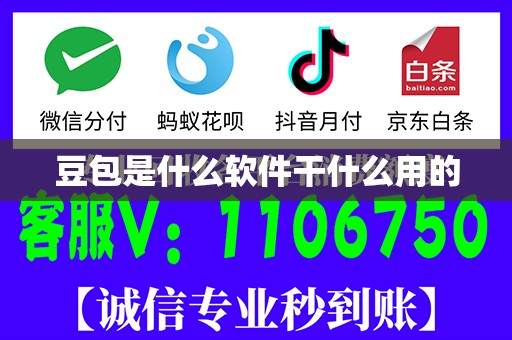 豆包是什么软件干什么用的