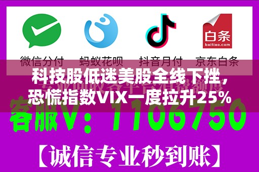 科技股低迷美股全线下挫，恐慌指数VIX一度拉升25%