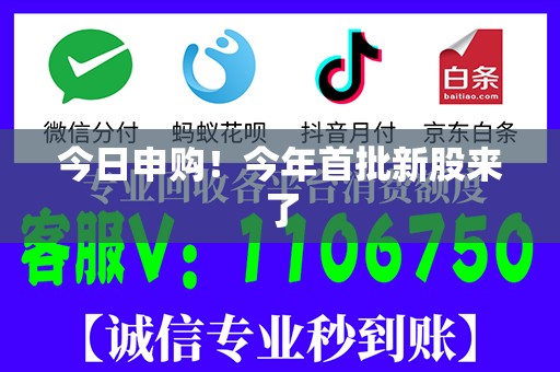 今日申购！今年首批新股来了
