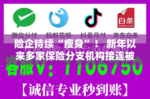 险企持续“瘦身”！ 新年以来多家保险分支机构接连被撤销