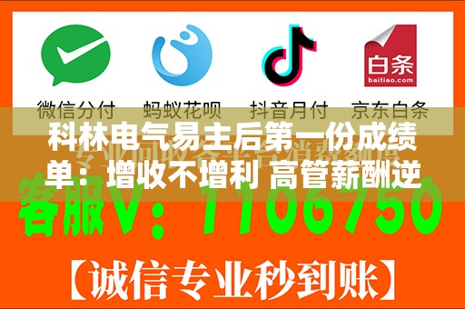 科林电气易主后第一份成绩单：增收不增利 高管薪酬逆势高增 大额减值损失或暴露运营短板