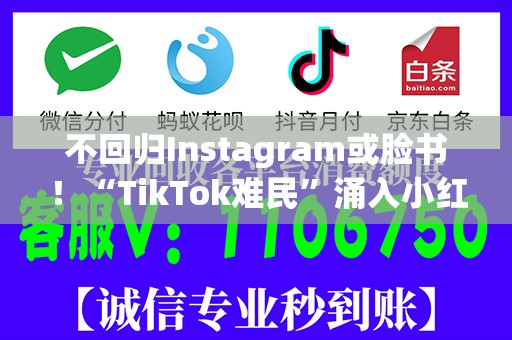 不回归Instagram或脸书！“TikTok难民”涌入小红书