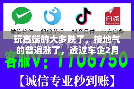 玩高端的大多跌了，接地气的普遍涨了，透过车企2月销量看问题