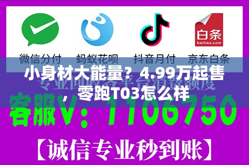 小身材大能量？4.99万起售，零跑T03怎么样