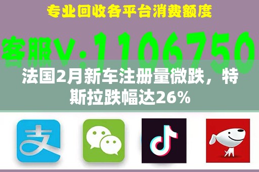 法国2月新车注册量微跌，特斯拉跌幅达26%