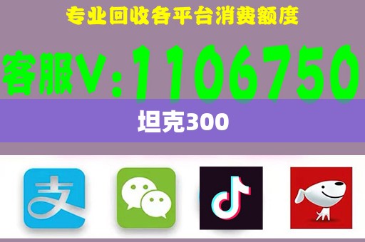 坦克300