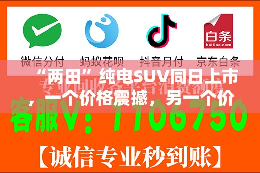 “两田”纯电SUV同日上市，一个价格震撼，另一个价格也震撼