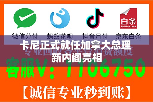 卡尼正式就任加拿大总理 新内阁亮相