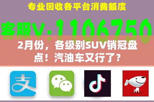 2月份，各级别SUV销冠盘点！汽油车又行了？