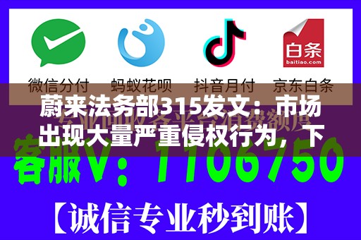 蔚来法务部315发文：市场出现大量严重侵权行为，下周披露打击黑公关进展