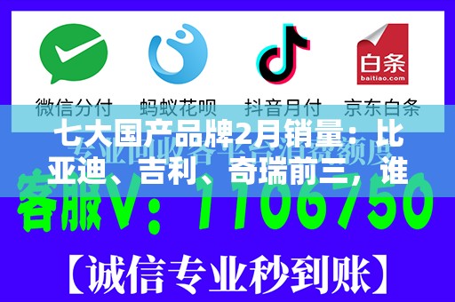 七大国产品牌2月销量：比亚迪、吉利、奇瑞前三，谁能后来居上？