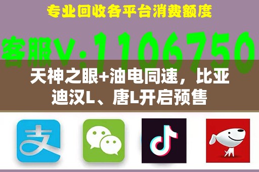 天神之眼+油电同速，比亚迪汉L、唐L开启预售