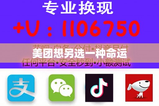 美团想另选一种命运
