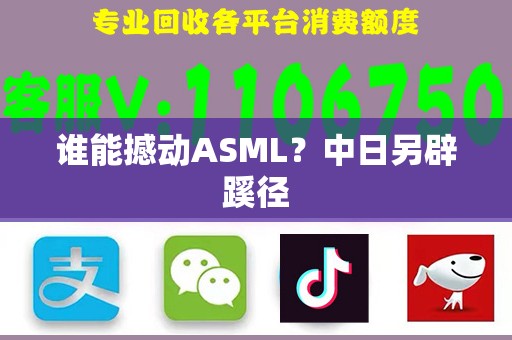 谁能撼动ASML？中日另辟蹊径