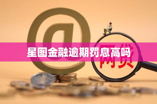星图金融逾期罚息高吗