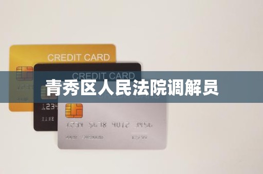 青秀区人民法院调解员