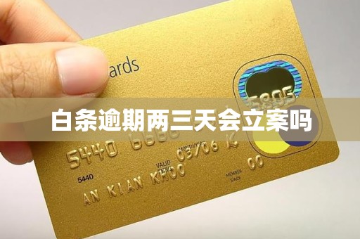 白条逾期两三天会立案吗