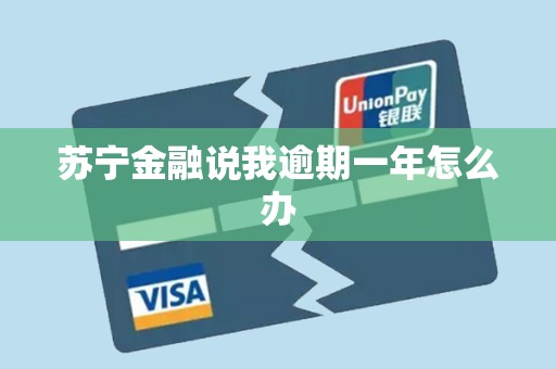 苏宁金融说我逾期一年怎么办