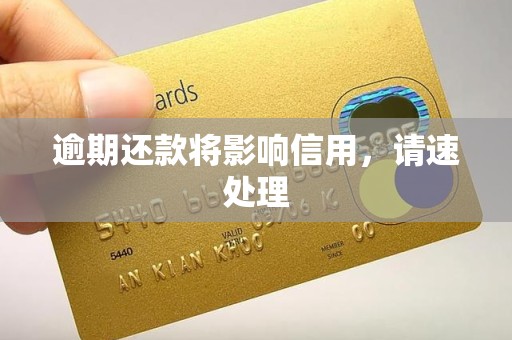 逾期还款将影响信用,请速处理