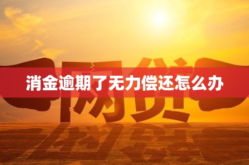 消金逾期了无力偿还怎么办