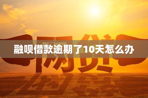 融呗借款逾期了10天怎么办