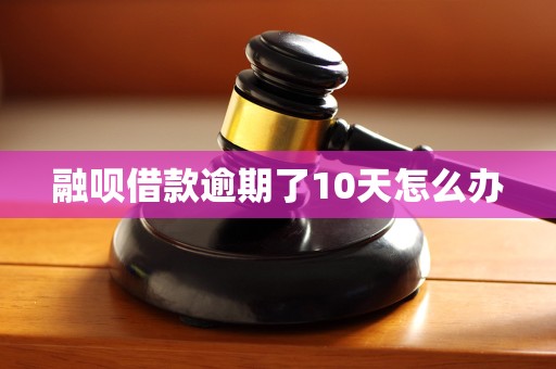 融呗借款逾期了10天怎么办