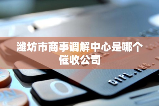 潍坊市商事调解中心是哪个催收公司