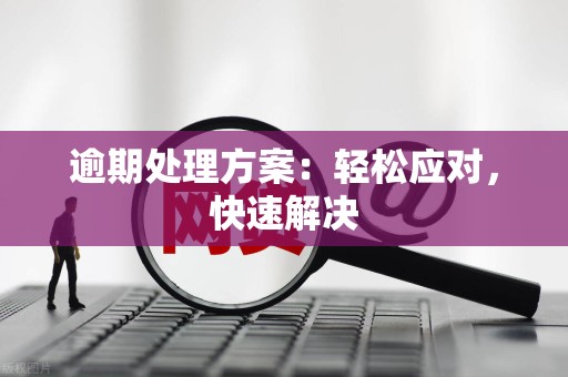 逾期处理方案:轻松应对,快速解决