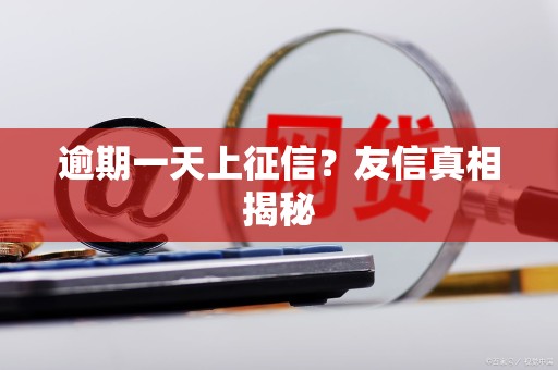 逾期一天上征信?友信真相揭秘