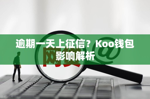 逾期一天上征信?Koo钱包影响解析