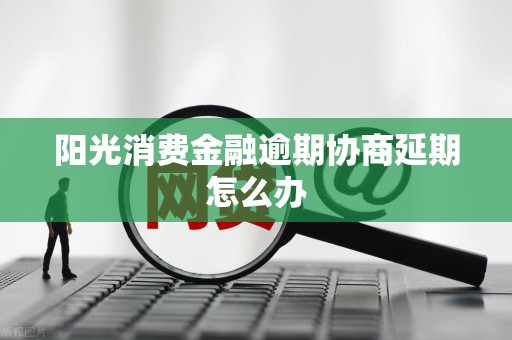 阳光消费金融逾期协商延期怎么办