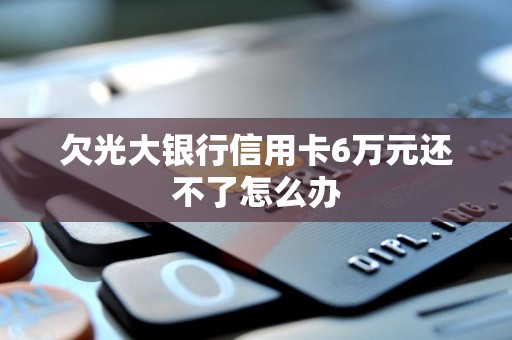 欠光大银行信用卡6万元还不了怎么办