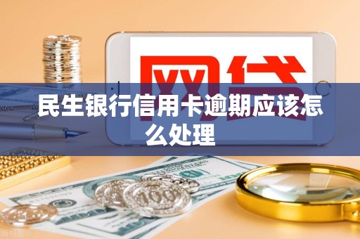 民生银行信用卡逾期应该怎么处理