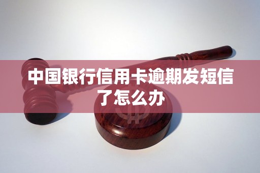 中国银行信用卡逾期发短信了怎么办