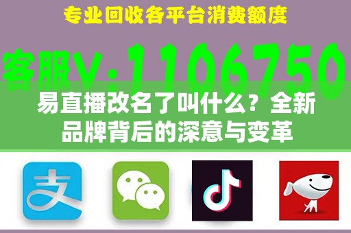 易直播改名了叫什么？全新品牌背后的深意与变革